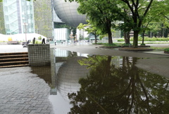 REFLECTION