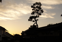 Japanesque