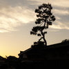 Japanesque