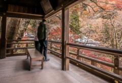 洛北の晩秋　貴船神社