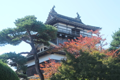 丸岡城