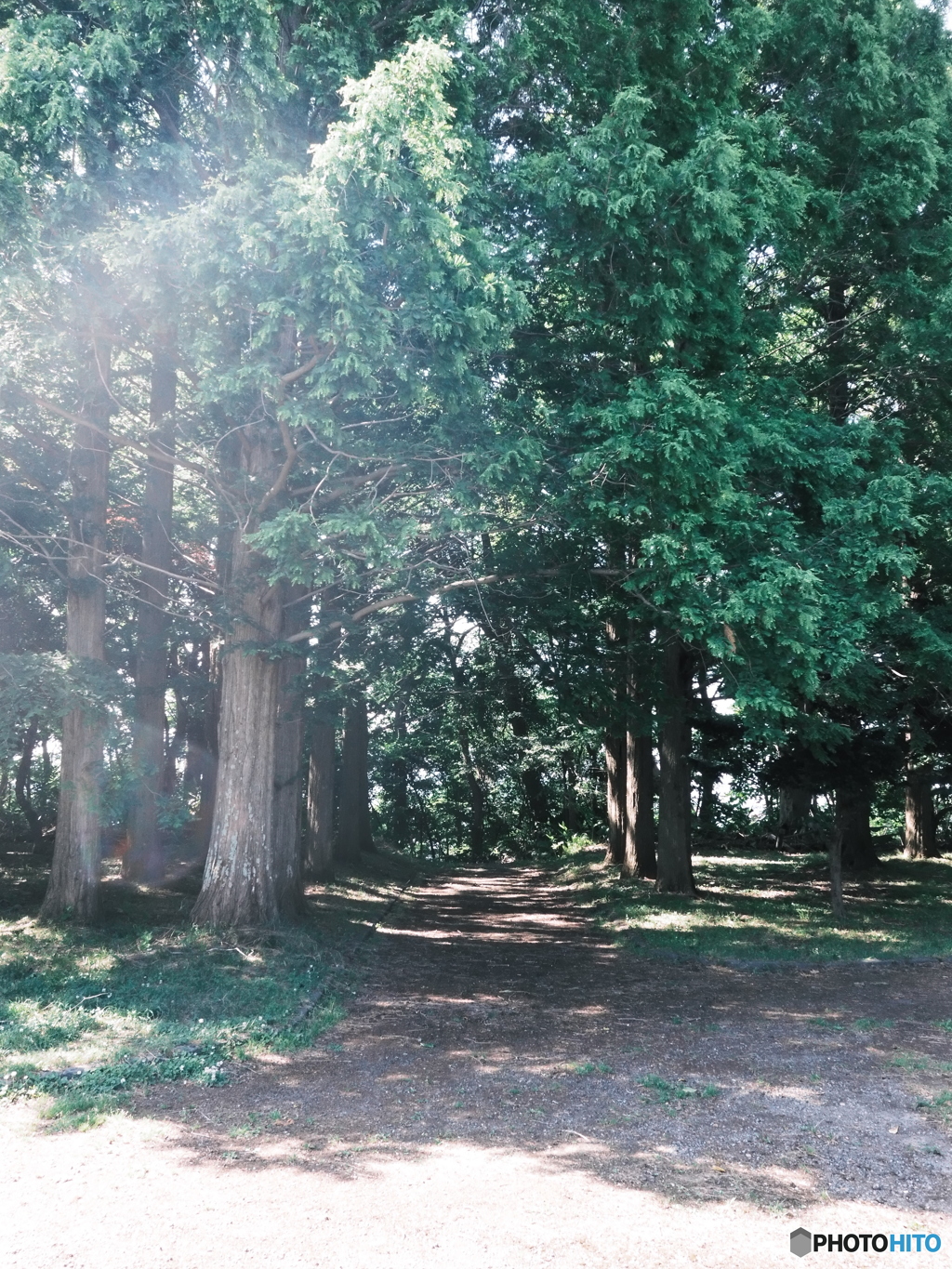 公園で