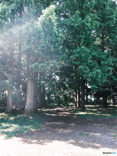 公園で