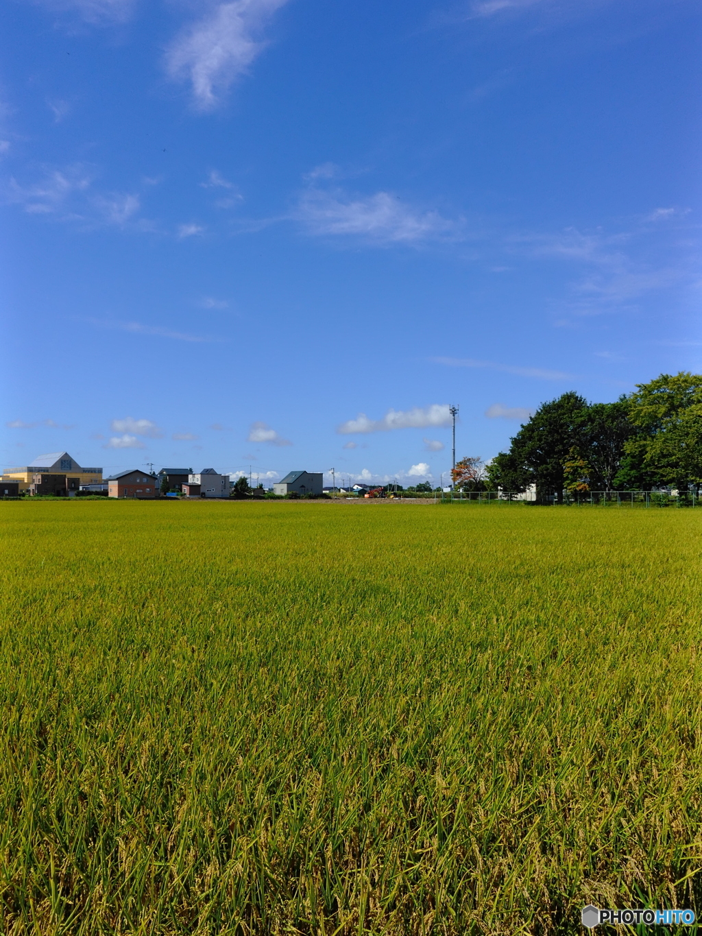 実り