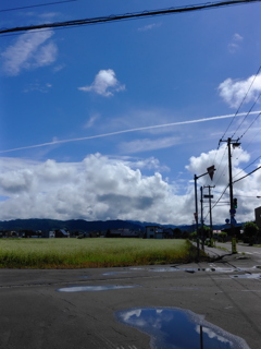 夏の風景1