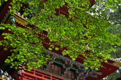 日光にて