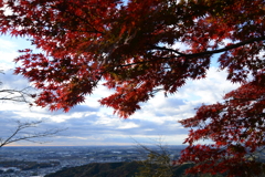 紅葉
