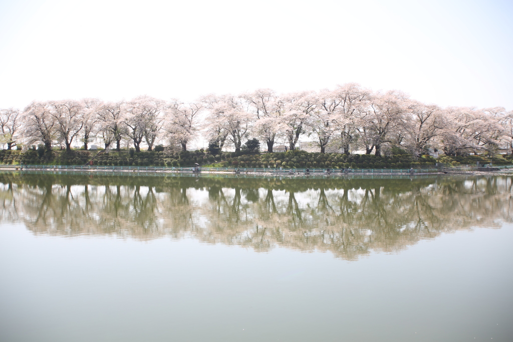 水鏡　2