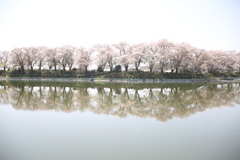 水鏡　2