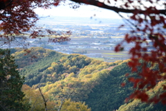 紅葉　2