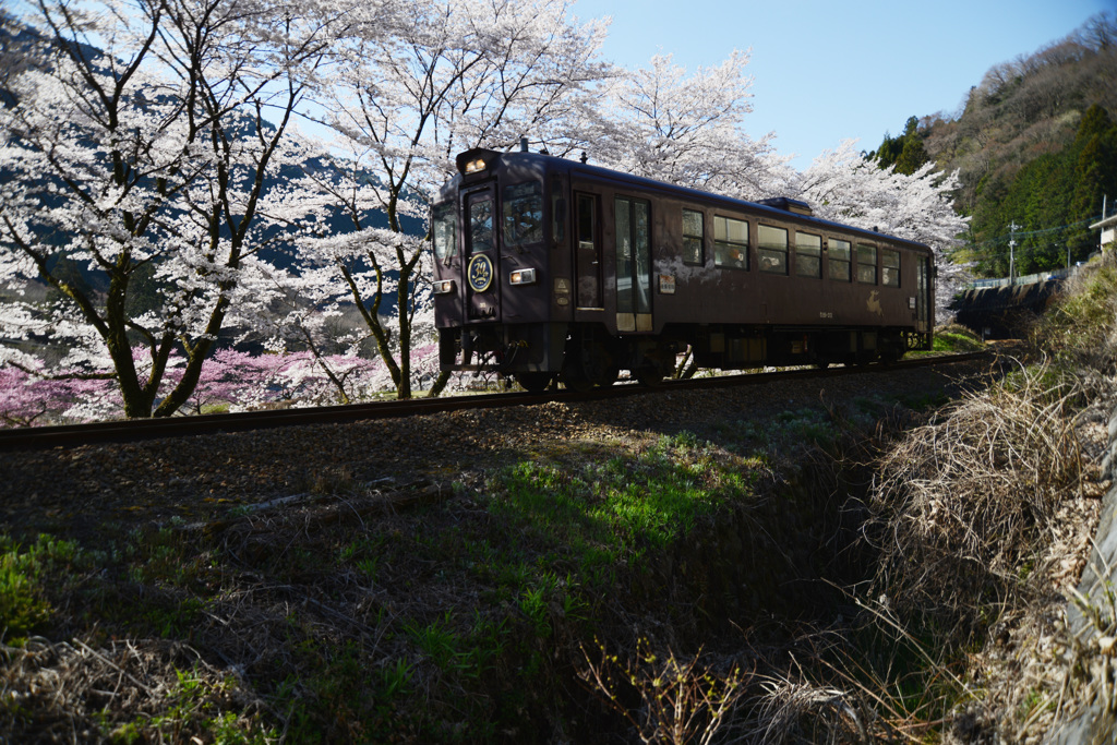 わたらせ渓谷　春
