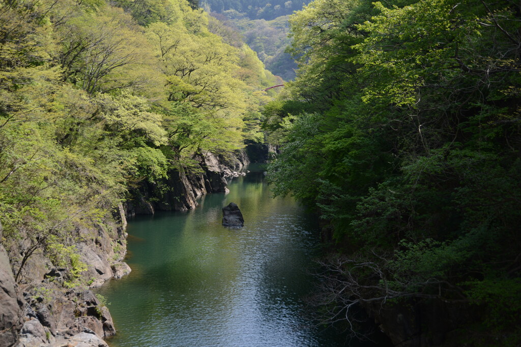 新緑の水面