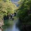 新緑の水面