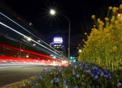 100m道路