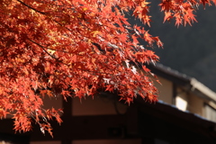 深紅