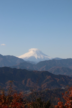 ありがたや