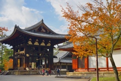 奈良公園 パート2