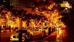 神戸の夜