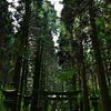 上色見熊野座神社