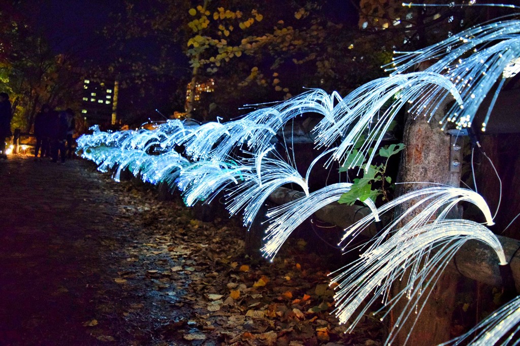 Jozankei Nature Luminarie フラワーシャワー By ひろ もうすぐ社会人 Id 718 写真共有サイト Photohito