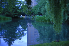 中島公園　池
