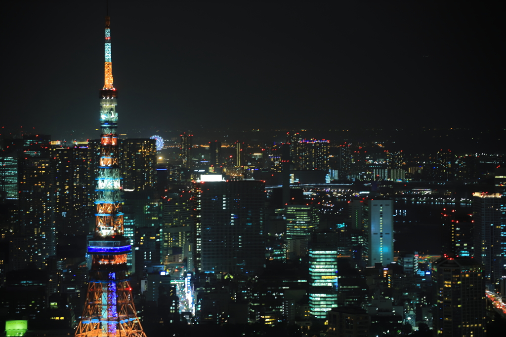 tokyo sky view 1