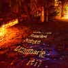 Jozankei Nature Luminarie 　プロジェクションマッピング