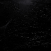星木 