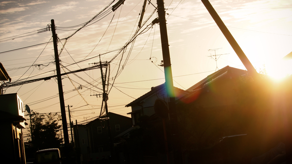 朝の始まり 