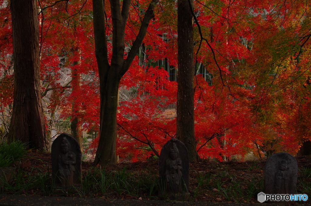 寺院の紅葉Ⅱ