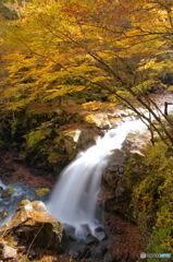 仁三郎の滝