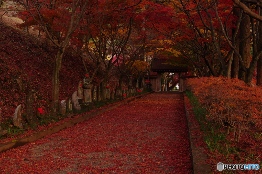 寺院の紅葉Ⅲ