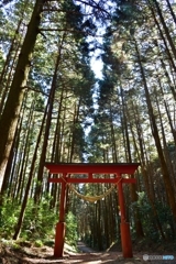 羽黒山神社の参道