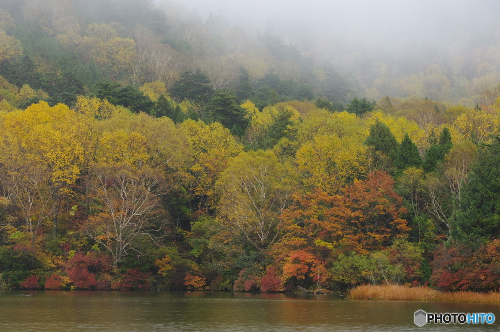 秋色の湖畔