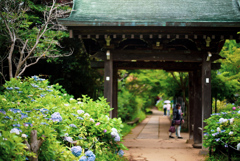 千葉県　本土寺