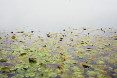 吉野ヶ里公園
