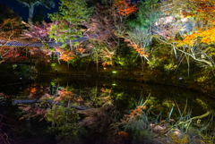 京都 高台寺