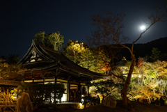 京都 高台寺