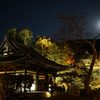 京都 高台寺