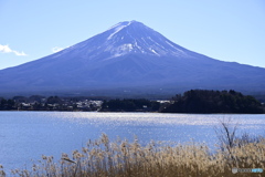 河口湖 大石公園からの富士山