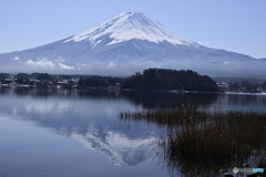 雪化粧の富士山