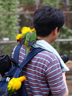 モテモテ