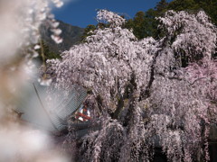 身延山