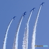 3Y6A9727