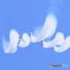 3Y6A9802