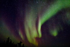 Northern Lights in Yellow Knife