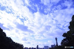 通天閣と望む空