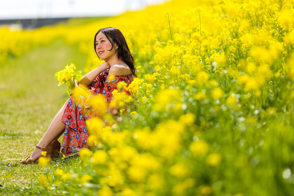 再びの菜の花