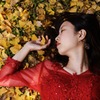 コラボ紅葉