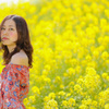 再びの菜の花